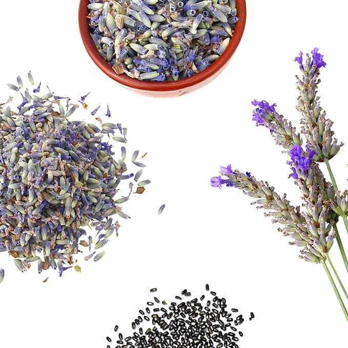 Seed Needs Lavender Seed Packet Favors - Thoughtful Gifts/Handouts for a Memorial or Funeral Service to Remember Loved Ones - Sowing Seeds in Remembrance (30 Packets)