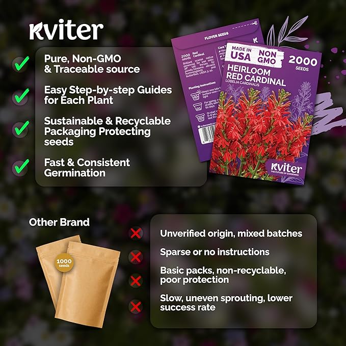 KVITER 2000 Red Cardinal Flower Seeds (Lobelia cardinalis) – Lobelia Garden Seeds for Planting, Cardinal Perennial Flower Seed Packets – Native Wildflower Plant for Outdoor Garden, Containers