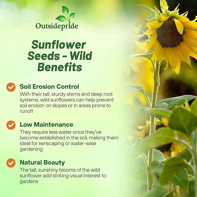 Outsidepride Wild Sunflower Seeds for Planting - 1000 Pcs Annual, Easy to Grow Flower Seeds w/Vibrant, Abundant Blooms for Cut Flower Arrangements & Pollinator & Vegetable Gardens