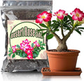 Organic Desert Rose Potting Soil Mix for Healthy Growth 10qt- 100% Natural Potting Mix - Specially Formulated Nutrient-Rich Plant Soil for Desert Rose Plant