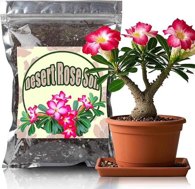 Organic Desert Rose Potting Soil Mix for Healthy Growth 4qt - 100% Natural Potting Mix - Specially Formulated Nutrient-Rich Plant Soil for Desert Rose Plant