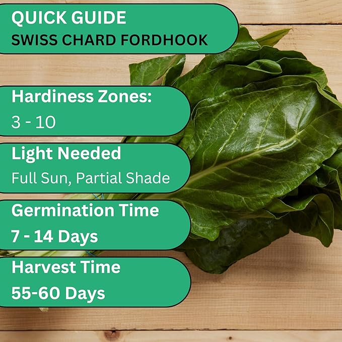 Woods Creek Seeds: Fordhook Giant Swiss Chard Seeds for Planting - Heirloom Fordhook Chard for Planting - Non-GMO Seed Pack for Home Gardening - Easy-Grow for Containers, Raised Beds, and Outdoors