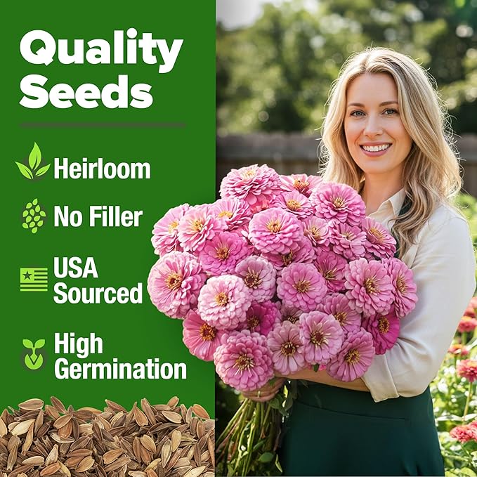 HOME GROWN Pink Zinnia Seeds – 600 Luminosa Zinnias 0.5g, Easy to Grow Annual Flower Seeds for Planting Outdoors for 2026, Fast Blooming, Heat Tolerant Herb Seed Garden Companion (Zinnia elegans)