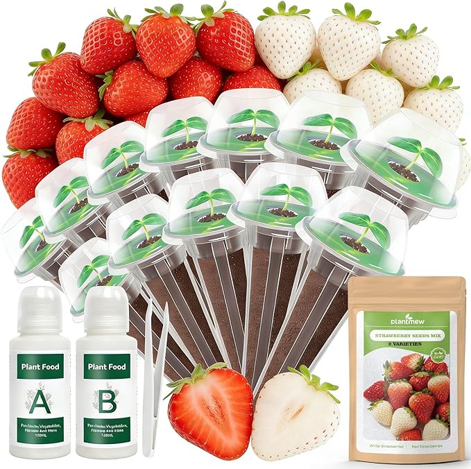 Hydroponic Seed Pod Kit – 12 Pods Seed Starter Kit for Indoor Garden, Compatible with Most Hydroponic Systems, Easy to Grow, High Germination