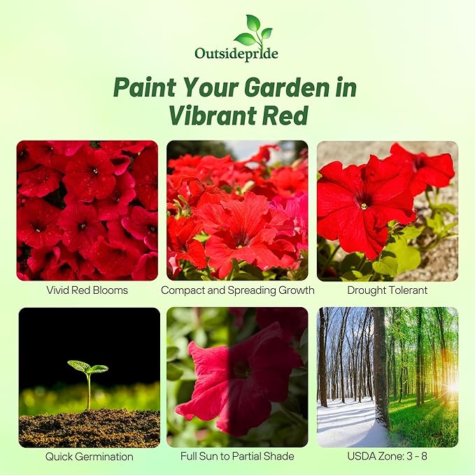 Outsidepride Red Multiflora Petunia Seeds - 500 Pcs. Annual, Compact, Flower Seeds for Planting, Vibrant Blooms, Ideal for Garden Beds, Hanging Baskets & Container Displays