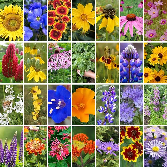 Wildflower Seeds Mix, 2 Oz, 50,000+ Seeds, 28 Varieties, Attracts Bees, Butterflies & Birds, Colorful Flowers