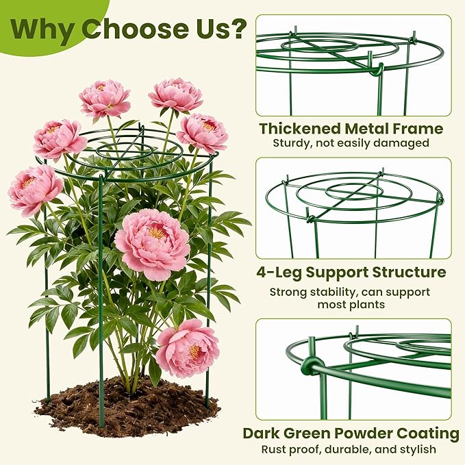 6 Pack Peony Cages and Supports, 11.8" x 24" Tall Peonies Support Cage, Heavy Duty Metal Peony Stakes and Supports for Rose Hydrangea Flower Plant