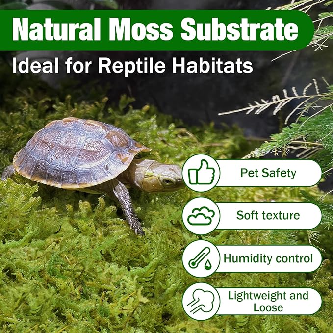 ZeeDix 3.3 lbs Forest Moss for Plants Indoor - Dried Orchid Moss for Repotting, Natural Green Sphagnum for Potted Plants Carnivorous Monstera Succulents Crafts Reptile Habitat (Expands to 60 qt)