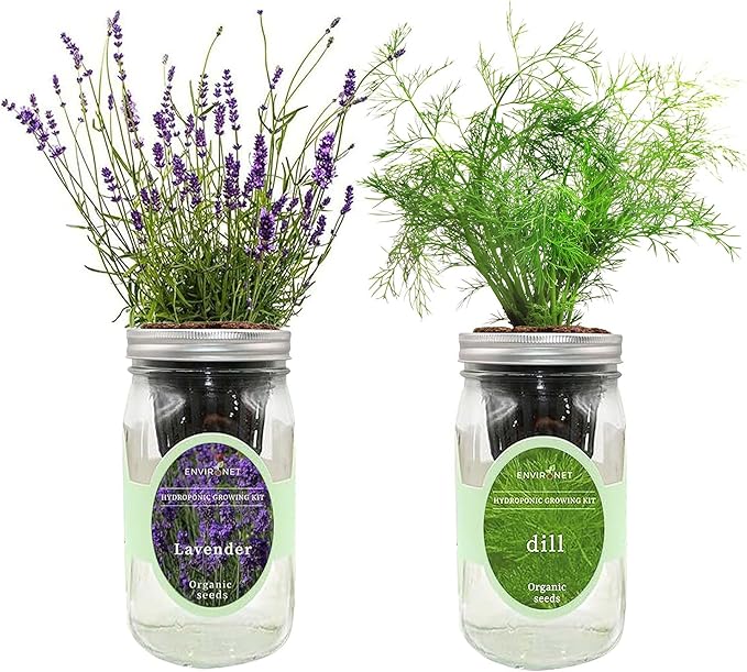 2-Pack Hydroponic Mason Jar Herb Garden Kit, Indoor Herb Garden Self-Watering Starter Kit, New Christmas Gift for Mom (Dill,Lavender)