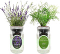 2-Pack Hydroponic Mason Jar Herb Garden Kit, Indoor Herb Garden Self-Watering Starter Kit, New Christmas Gift for Mom (Dill,Lavender)
