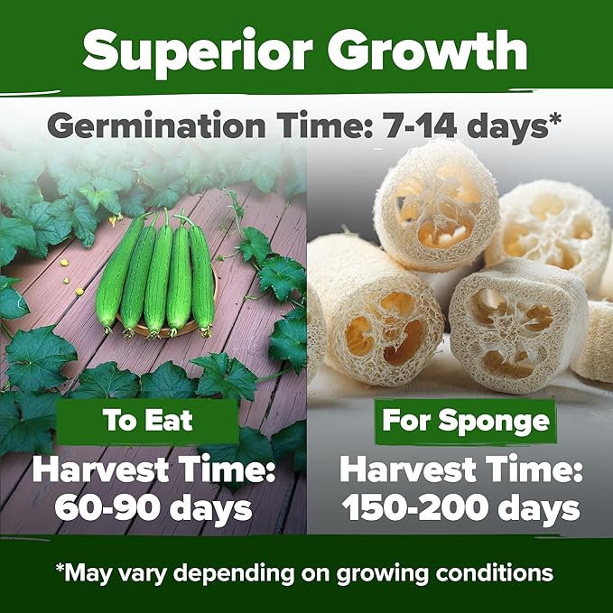 Summer Vegetable & Herb Gardens – 9,300+ Non-GMO USA Seeds – Includes Luffa Gourd (80), Clemson Spineless Okra (300), Thai Basil (876), and Arugula (4,350) – Heirloom Seed Variety Pack