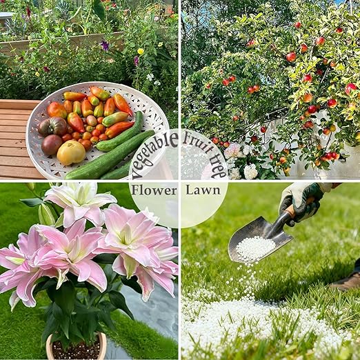 1LB Calcium Nitrate Fertilizer, 15.5-0-0 Nitrogen Fertilizer with Calcium, Indoor Plant Fertilizer, Plant Food for Houseplants, Lawn, Vegetable, Trees, Boost Stem & Leaf Growth, Improves Root Health