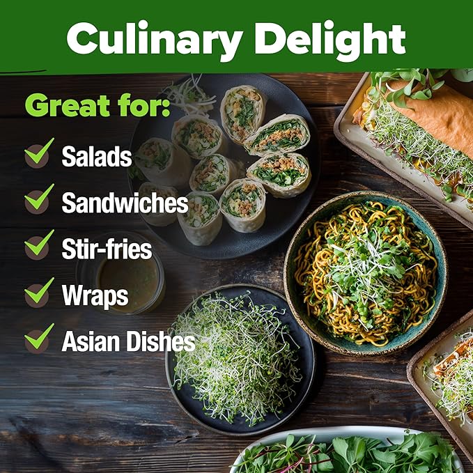 HOME GROWN Alfalfa Sprouting Seeds - Non-GMO USA-Sourced Heirloom Bulk Sprout Seed for Microgreens - Premium Organic Alfalfa Seeds for Sprouting - Indoor Growing Kit - 8 OZ