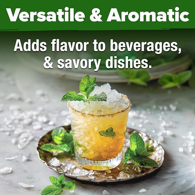 HOME GROWN 𝗨𝗦𝗔 𝗣𝗥𝗘𝗠𝗜𝗨𝗠 Common Mint Seeds 1,800 & Large Red Cherry Tomato 500 & Persian Cucumber 50 & Cherry Belle Radish Seeds 800