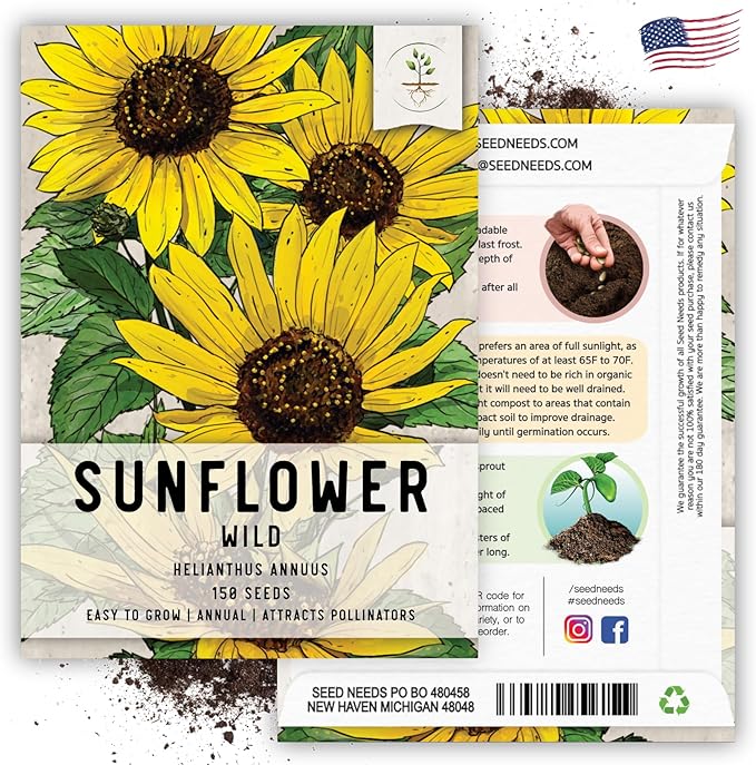 Seed Needs Sunflower Seeds for Planting Wild Sunflowers - Heirloom & Open Pollinated Flower Seed to Plant an Outdoor Wildflower Butterfly Garden (1 Pack)
