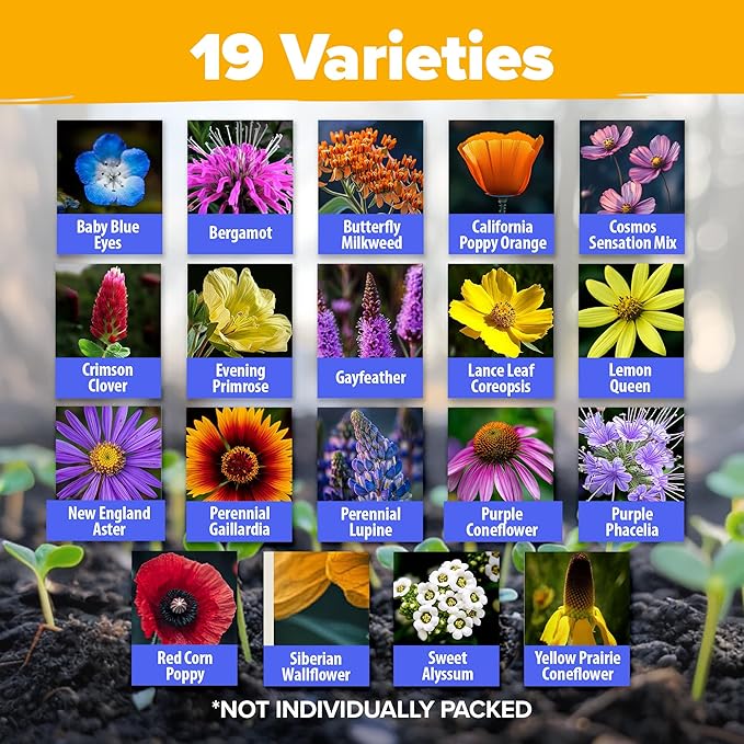 HOME GROWN Premium Wildflower Seeds Bulk Mix (2oz) - 59,300 Seeds & HOME GROWN 70 Variety Vegetable & Herb Seeds 32,000 USA Non-GMO