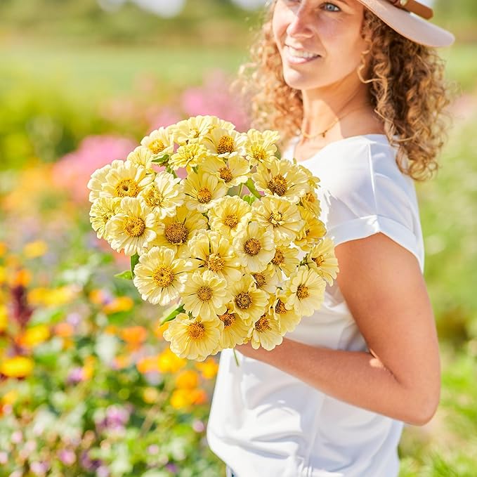 Eden Brothers Zinnia Seeds - Isabellina, Non-GMO Seeds for Planting, 1 oz | Low-Maintenance Flower Seeds, Plant During Spring, Zones 3, 4, 5, 6, 7, 8, 9, 10