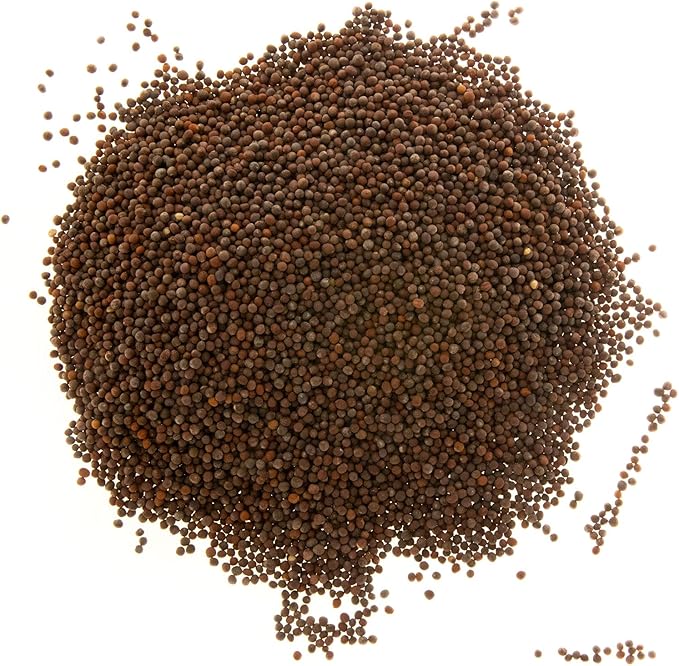Broccoli Seeds for Sprouting & Microgreens | Calabrese Variety | Non GMO & Heirloom Seeds | Bulk 1 LB Resealable Bag | Rainbow Heirloom Seed Co.