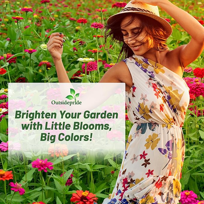 Outsidepride Zinnia Seeds - 1000 Pcs Annual Blend of Hardy Compact Mixed Color Ball-Shaped Blooms for Planting in Outdoor Containers, Borders, Flower Beds, Cutting Gardens & Pollinator-Friendly Spaces