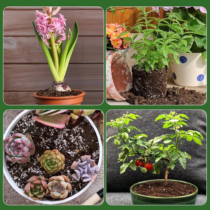 Organic Seed Starter Premium Potting Soil Mix 2qt, All Natural Seed Starter Mix for Fast Germination and Vigorous Seedlings with Strong Root Systems