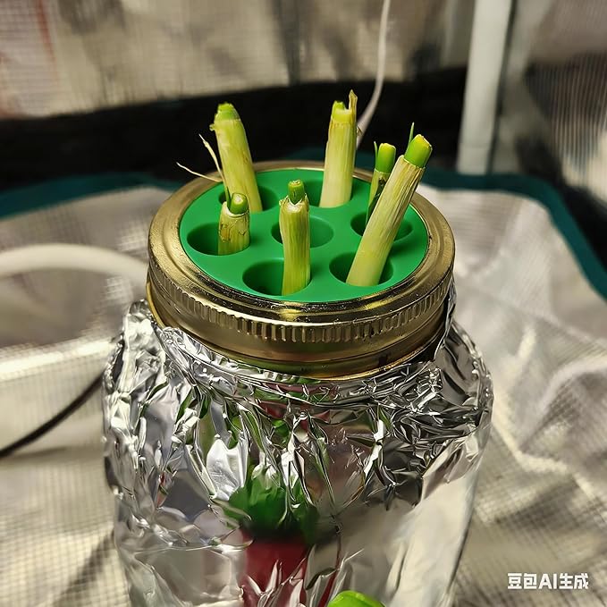 Green Onion Grow for Mason Jar Lid of 6cm,Minimal Kitchen Garden Propagation Station,3D Printed Easy Hydroponic Insert Green