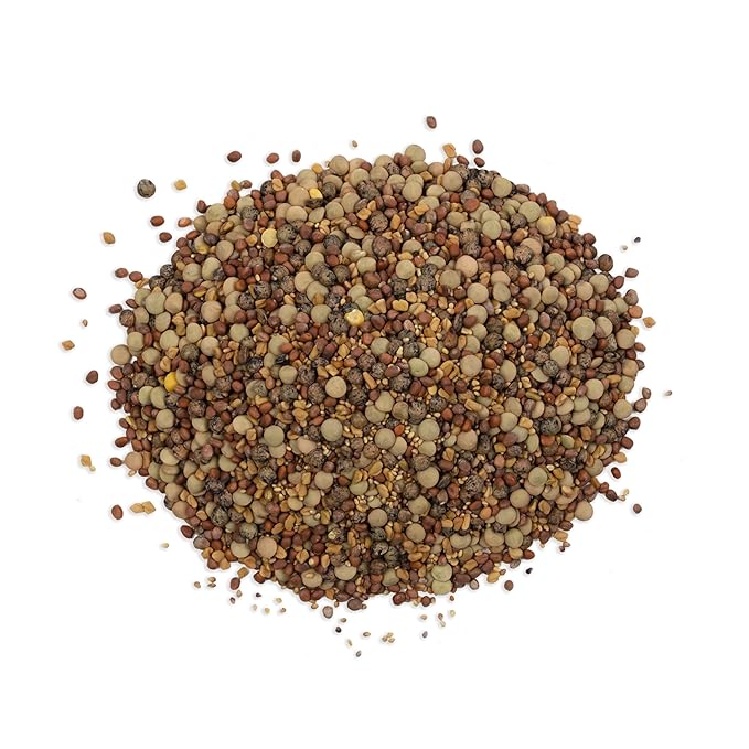 The Sprout House Veggie Queen Salad Mix Certified Organic Non-gmo Sprouting Seeds - Red Clover, Red Lentil, French Lentil, Daikon Radish, Fenugreek 1 Pound