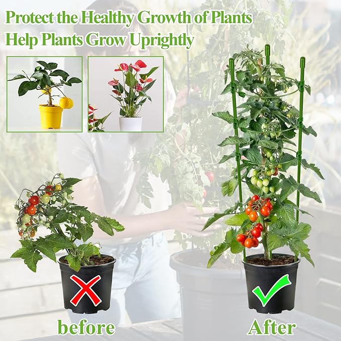 Legigo 6 Pack 30 Inch Plant Support Cages Tomato Cage for Garden- Plant Cages Adjustable Rings, Tomato Plant Support Stakes Trellis for Pots, Peppers, Cucumbers and Flowers with 10 Plant Clips