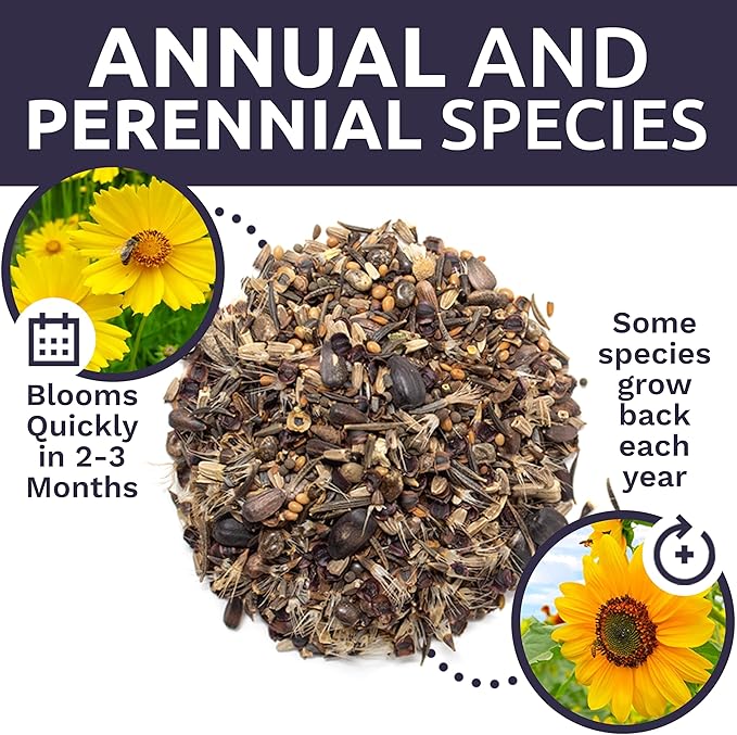 Bee Friendly Wildflower Seed Mix - Bulk 1 Ounce Packet - Over 7,500 Open Pollinated Seeds - Save The Bees!