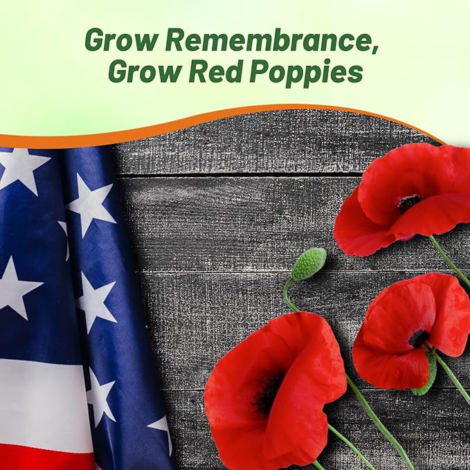 Outsidepride Red Poppy Seeds for Planting - 30000 Pcs. Annual, Drought-Tolerant & Easy to Grow Wildflower Seeds with Vibrant Red Blooms for Landscaping, & Pollinator Garden