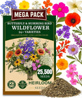 25450+ Wildflower Seeds, Pack for 2026 USA Premium Non-GMO Butterfly & Humming Bird Mixture Seeds - 1 Oz - 24 Open Pollinated Annual and Perennial Species - Bulk Pack