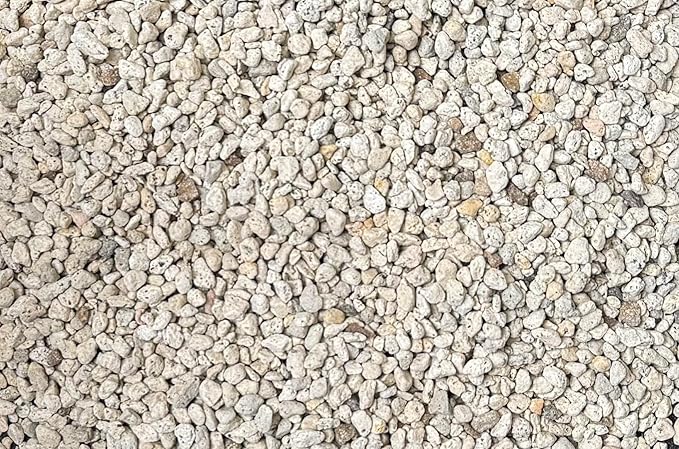 Japanese 3 Gal. 3/16" Small Grain Horticultural Pumice for Cactus & Succulent, Bonsai Tree Soil Mix (3GAL Pumice S)
