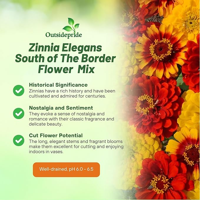 Outsidepride South of The Border Zinnia Seeds - 2000 Pcs Annual, Heat & Drought Tolerant Flower Seeds for Planting w/Vibrant Blooms for Pollinator Gardens & Floral Arrangements