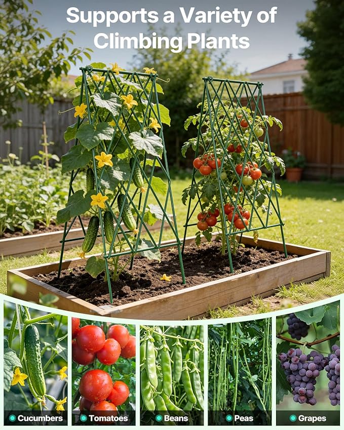 Suteck Cucumber Trellis 39.2" 2 Pack A-Frame – Foldable Metal Garden Trellis for Cucumbers, Peas, Beans & Climbing Plants, No Assembly Required Plant Support, Ideal for Raised Beds, Patios & Backyards