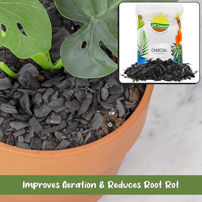 Soil Sunrise Horticultural Charcoal for Indoor Plants (30 Quarts) Hardwood Soil Additive for Orchids, Terrariums, and Gardening