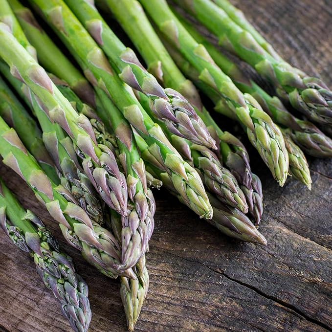 Asparagus Vegetable Garden Seeds - Mary Washington - 4 Oz: Approx 2400 Seeds - Non-GMO, Heirloom, Gardening Seed