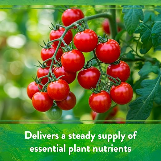 Down To Earth All Natural Fertilizers Organic All Purpose Tomato & Vegetable Mix - Plant Food for Tomatoes, Peppers, Herbs and Flowers 4-6-2, 5 lb