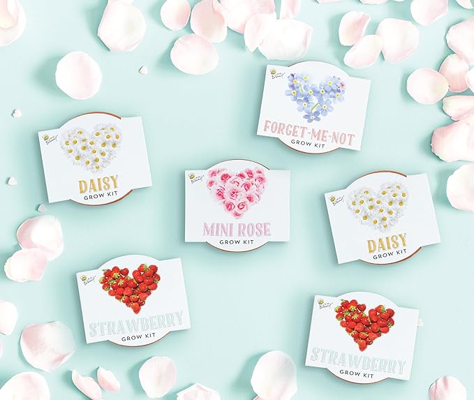 BUZZY Seeds Love Collection Indoor Flower Starter Kit – Terracotta Mini Grow Pots 6-Pack with Strawberry, Mini Rose, Forget-Me-Not, and Daisy Seeds, Valentine’s Day and Wedding Favors