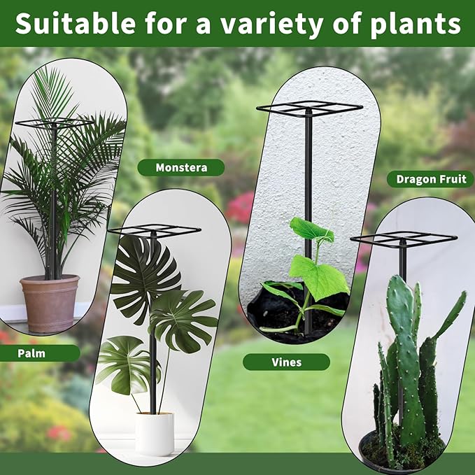 1 Pcs Heavy Duty Dragon Fruit Trellis 12"x12"x50", Adjustable Metal Dragon Plant Support Stand, Durable Vertical Trellis for Climbing Plants, No-Hammer Assembly for Outdoor Garden(Square)