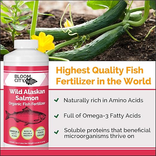 Bloom City Organic Wild Fish Fertilizer – Sustainable Salmon Plant Food for Lush Green Leaves & Healthy Soil, 8 oz