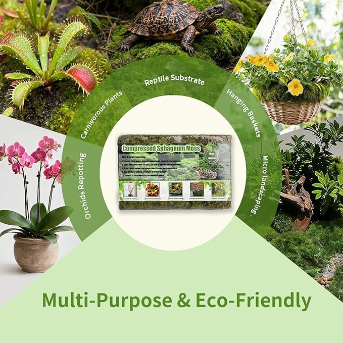 Compressed Sphagnum Moss for Plants & Reptiles (1pc)– Dried Peat Moss, Moisture-Retentive for Indoor Plants, Orchids, Terrariums, Reptile Bedding (100% Natural, Reptile-Safe
