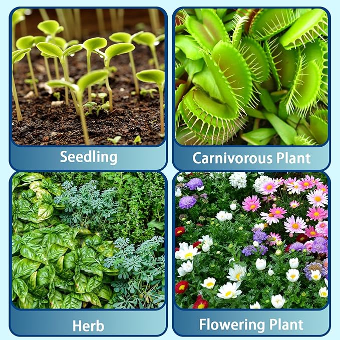 Sphagnum Peat Moss for Plants 2qt, Organic Garden Growing Soil Amendment and Media for Flowers, Vegetables, Herbs, Orchid, Indoor Houseplant