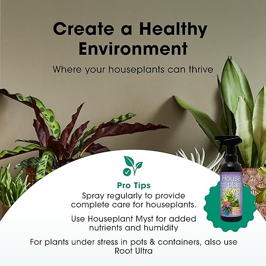 Potted Plant Focus Liquid Concentrated Fertilizer 100ml