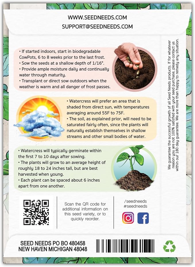 Seed Needs Watercress Seeds for Planting Nasturtium officinale - Non-GMO Heirloom & Untreated - Plant Your own Home Grown Culinary Herb Garden Indoors or Outdoors (2 Packs)