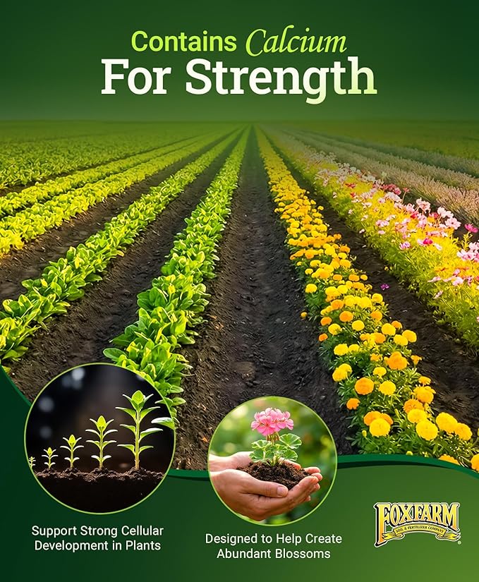 FoxFarm Happy Frog Steamed Bone Meal Fertilizer - Fine-Screened Phosphorus Fertilizer with Calcium & Mycorrhizal Fungi, Supports Strong Cell Development & Abundant Blossoms - 3-12-0, 4 lb
