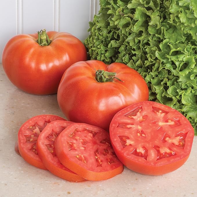 Burpee 'Bodacious Hybrid' Tomato Seeds - Non-GMO, Indeterminate, Disease-Resistant, Slicer Tomato, 45mg Seed Packet for Home Gardening