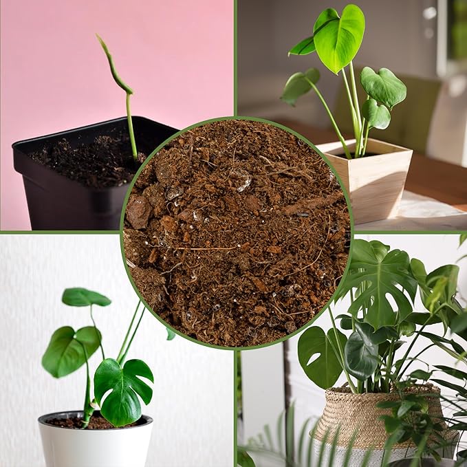 Soil Sunrise Monstera Houseplant Potting Soil Mix (4 Quarts) Custom Blend for Growing and Repotting
