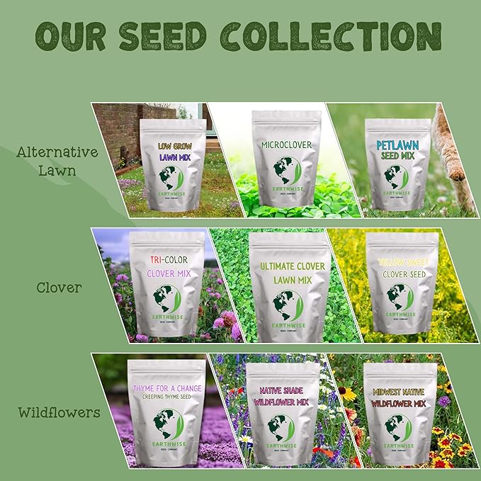 Earthwise Midwest Native Wildflower Seed Mix – 1lb – Covers 1000 sq ft – Region-Specific Flowers for Pollinators & Meadowscaping