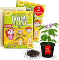 TickleMe Plant Seeds for Indoor Planting (2-Pack) – Unique Stocking Stuffer Idea | Leaves Close When Touched, Reopen in Minutes – Easy Indoor House Plant Seeds, Can Flower, Includes 10 Fun Activities