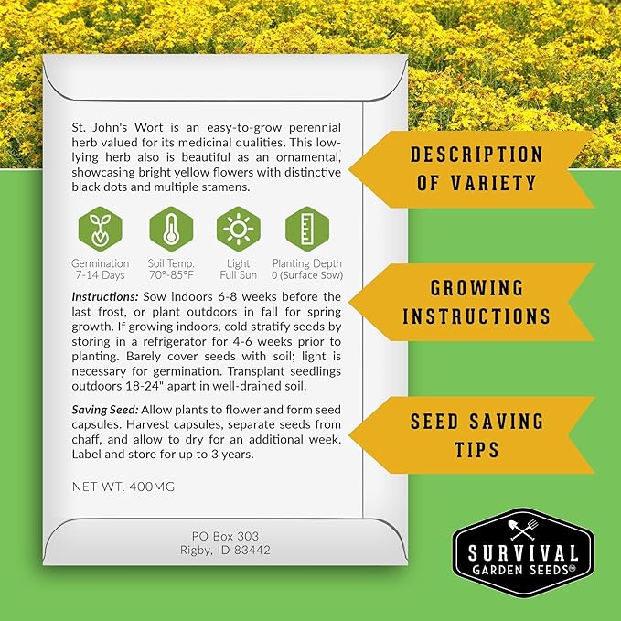 St. John's Wort Seeds for Planting - 2 Packets with Instructions to Plant & Grow Beneficial Perennial Herbs in Your Home Herb Garden - Non-GMO Heirloom Variety - Survival Garden Seeds