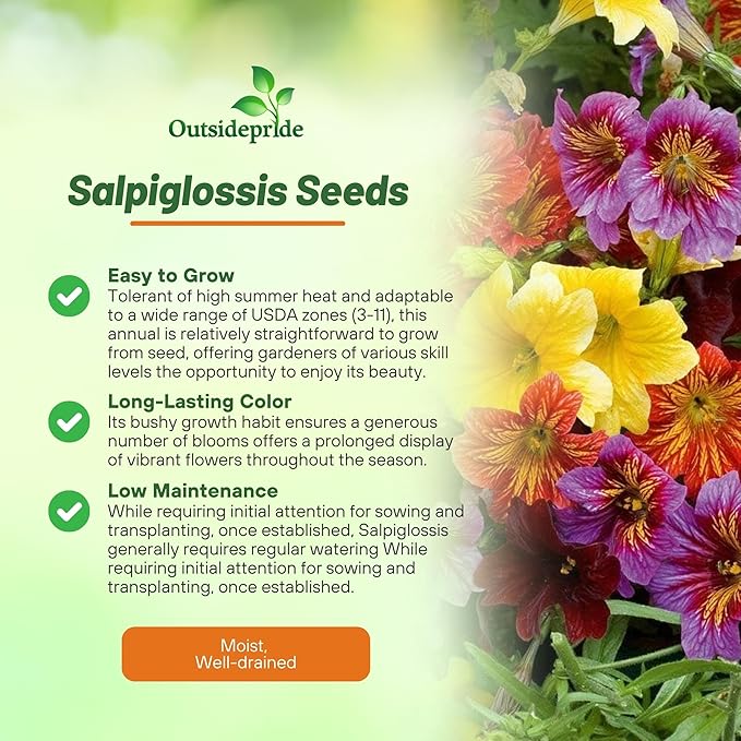 Outsidepride Painted Tongue Salpiglossis Seeds - 5000 Pcs. Annual, Versatile & Pollinator Friendly, Flower Seeds for Planting Vibrant Trumpet-Shaped Mixed Blooms for Garden Beds & Cut Flower Bouquets